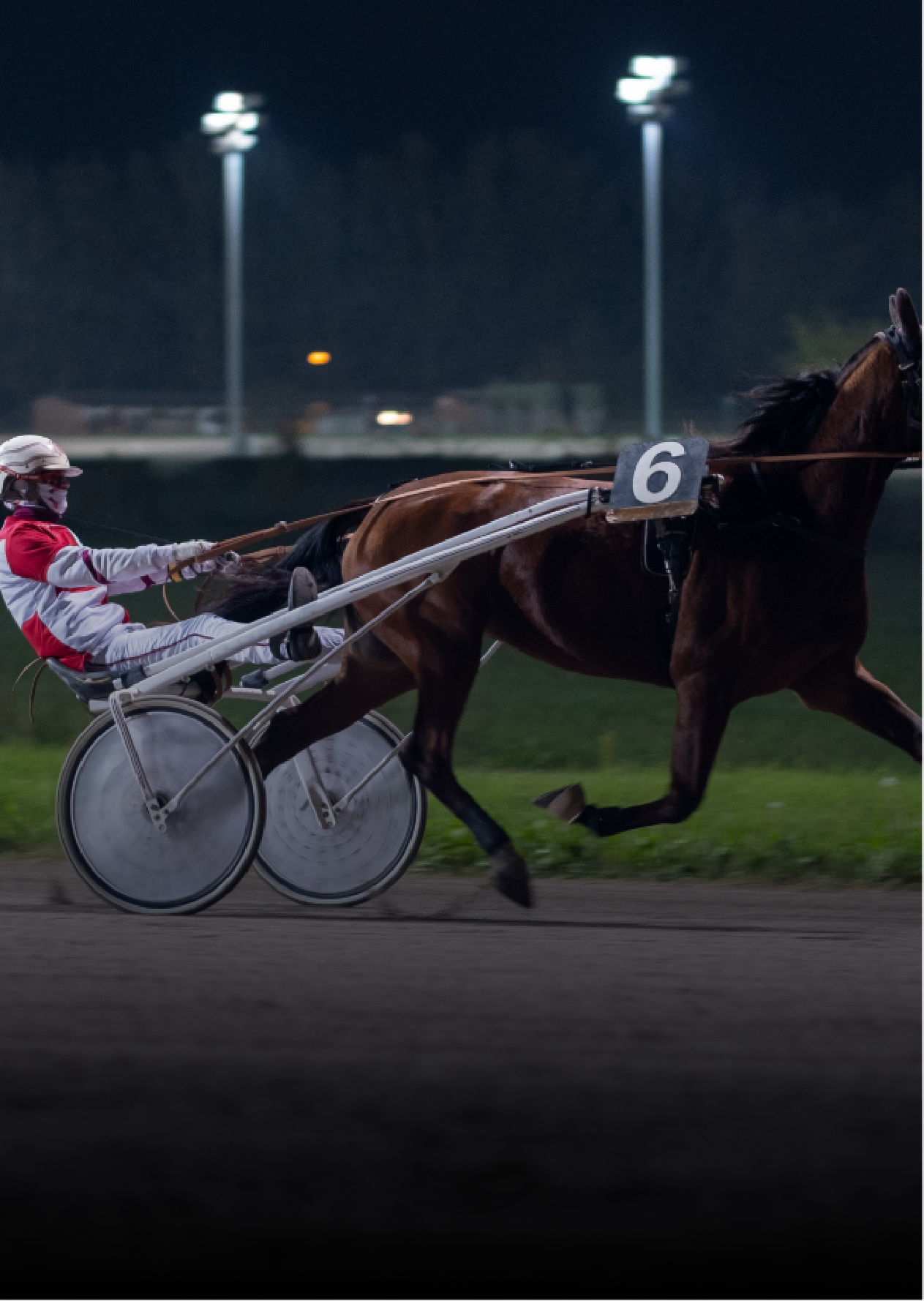 Harness racing