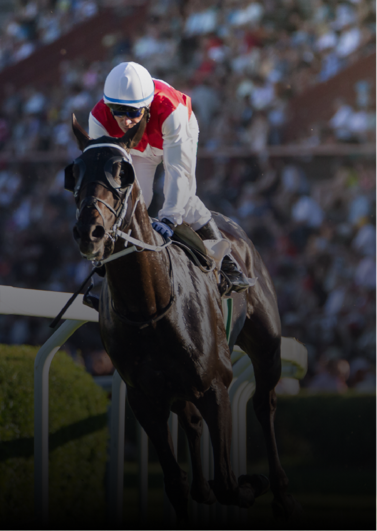 Horse racing